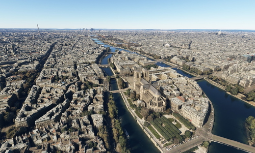 Paris  no tree