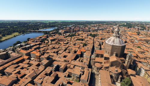 Pavia no tree