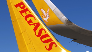 Pegasus [Fleet] w/Cabin - Fenix A320 thumbnail 4