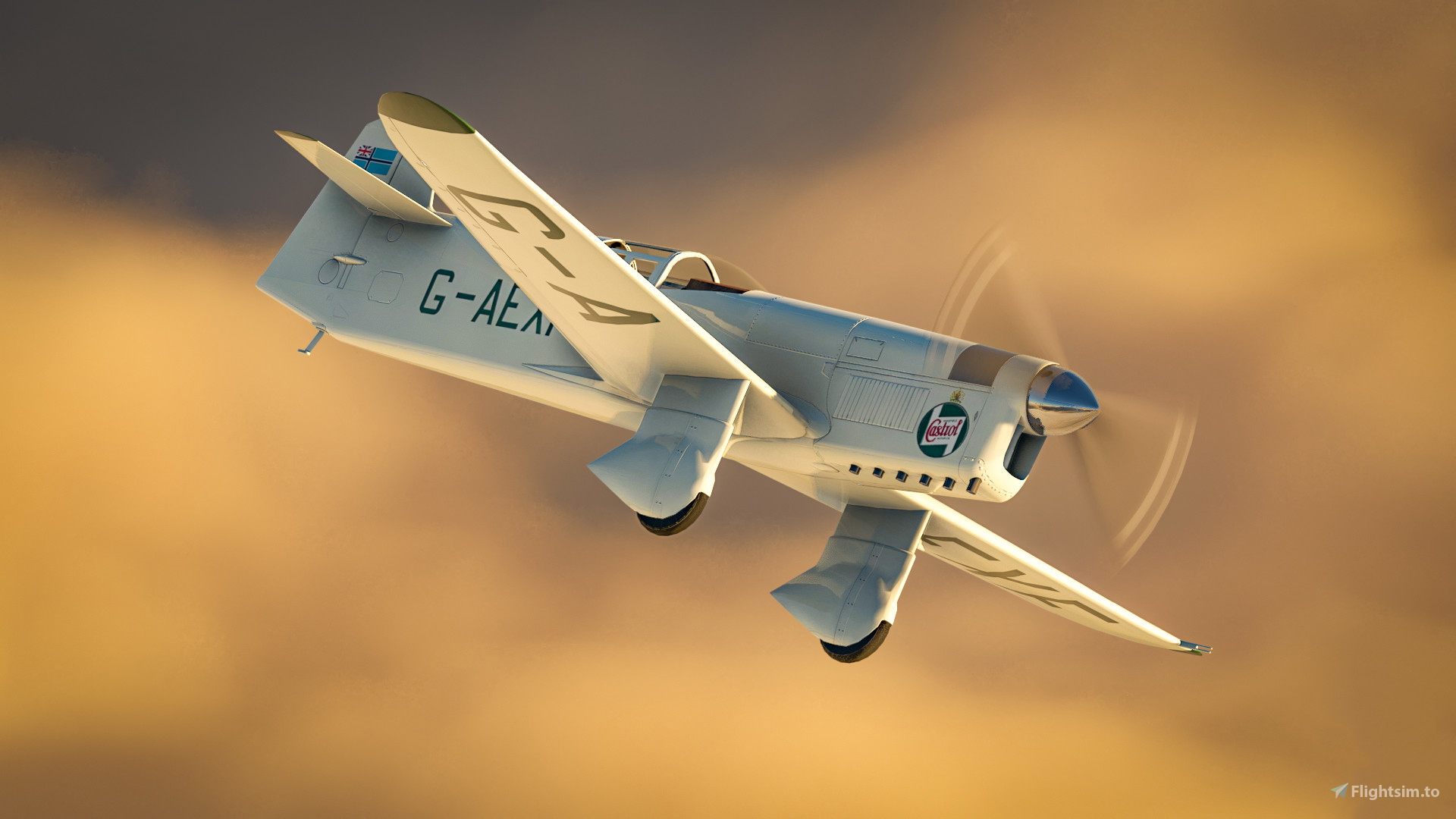 Percival Mew Gull - Image 1