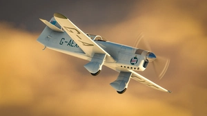 Percival Mew Gull thumbnail 1