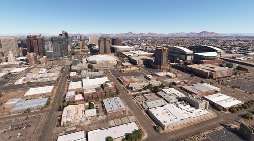 Phoenix no tree