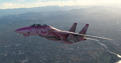 Pinkamena F-14 B Tomcat