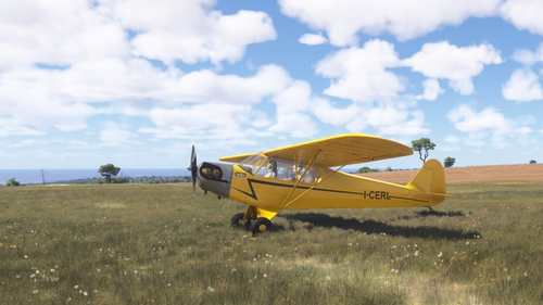 Piper J-3 Cub I-CERL