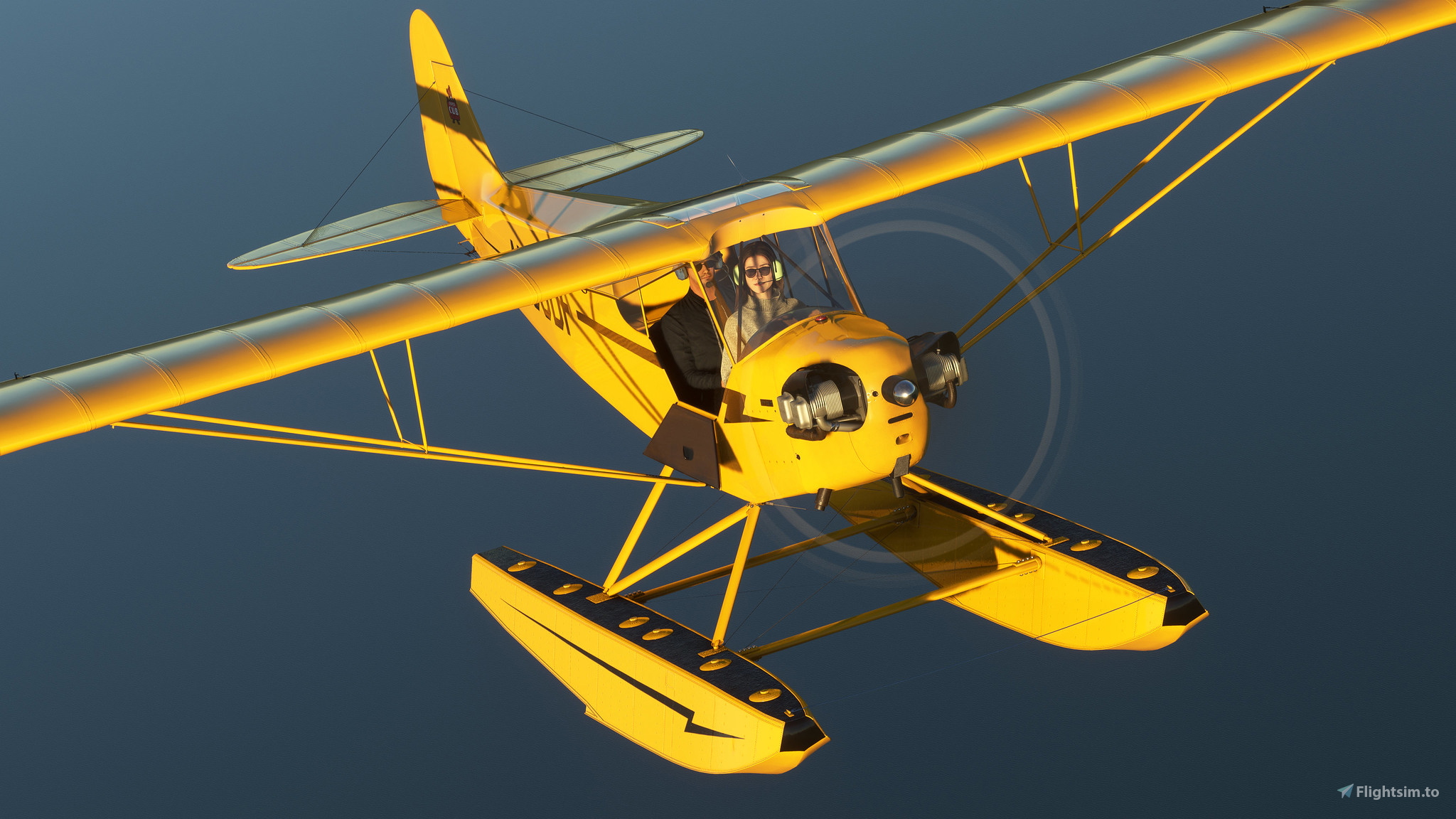 Piper J3 Yellow Cub ノーマルウィング 1946 Piper J3 Cub | AirplanesUSA