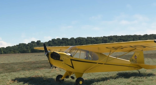 CAS Piper J3-CUB  OO-YOL