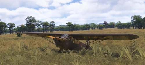 Piper L-4 Grasshopper  brown "Ngambi" TJ-BSA