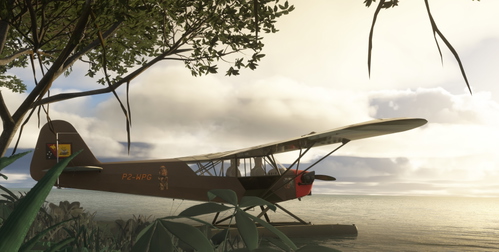Piper L-4 Grasshopper fr Wapoga P2-WPG v2 (wheels & floats)