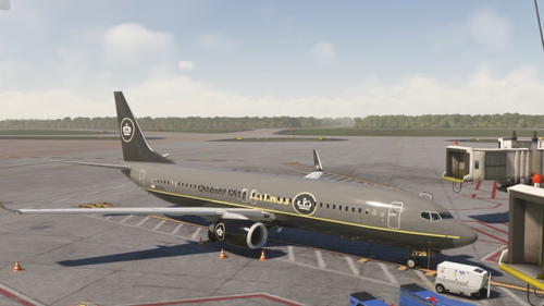 PMDG  737-800 Queen City Airlines Livery