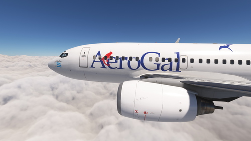PMDG 737-600 Aerogal (HC-CED)