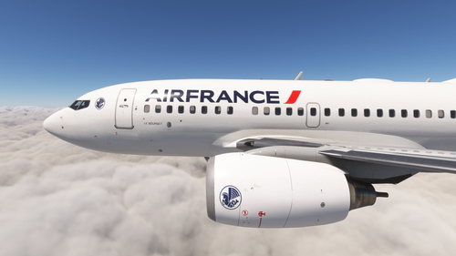 PMDG 737-600 Air France (F-HZUA)