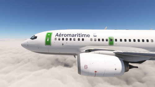 PMDG 737-600 Aéromaritime International (F-GFUE)