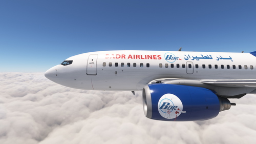 PMDG 737-600 Badr Airlines (4L-AJB)