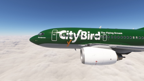 PMDG 737-600 CityBird (OO-CTW)
