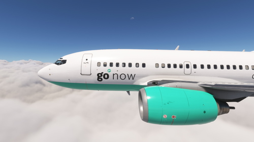 PMDG 737-600 Go Fly Fleet