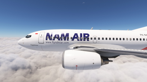 PMDG 737-600 Nam Air (PK-NAL)