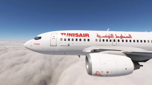 PMDG 737-600 Tunisair (TS-ION)