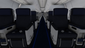 PMDG 737-600 w/ cabin Lufthansa Vintage (D-ABCE) thumbnail 10