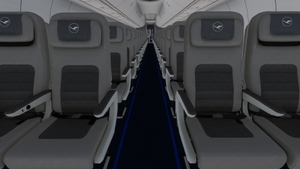 PMDG 737-600 w/ cabin Lufthansa Vintage (D-ABCE) thumbnail 12