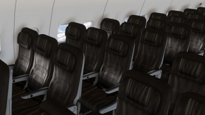 Alaska Airlines [Package] w/Cabin PMDG 737-800 thumbnail 10