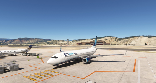PMDG 737-800 BlueStar Airlines (N384BL)