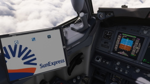 PMDG 737-800 w/ cabin SunExpress complete regular fleet thumbnail 8