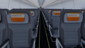 PMDG 737-800 w/ cabin SunExpress complete regular fleet thumbnail 11