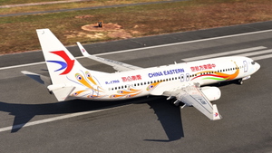 PMDG 737-800 China Eastern B-1789 - Yunnan Peacock [w/ cabin] thumbnail 5