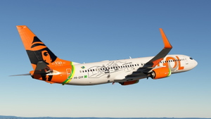 PMDG 737-800 - GOL Linhas Aereas PR-GXR - "Santos Dumont" (w/ cabin) thumbnail 7