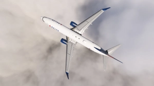 PMDG 737-800 /w cabin Delta Air Lines complete regular fleet thumbnail 3