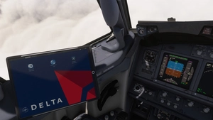 PMDG 737-800 /w cabin Delta Air Lines complete regular fleet thumbnail 7