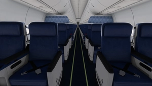 PMDG 737-800 /w cabin Delta Air Lines complete regular fleet thumbnail 10