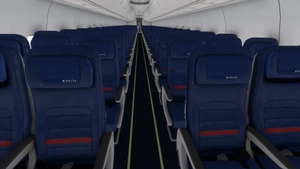 PMDG 737-800 /w cabin Delta Air Lines complete regular fleet thumbnail 12