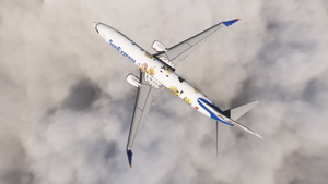 PMDG 737-800 w/ cabin Sunexpress Minions Edition (TC-SOH) thumbnail 3