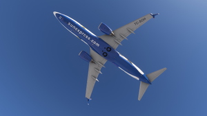 PMDG 737-800 w/ cabin Sunexpress Minions Edition (TC-SOH) thumbnail 4
