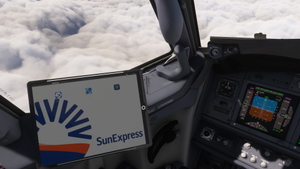 PMDG 737-800 w/ cabin Sunexpress Minions Edition (TC-SOH) thumbnail 7