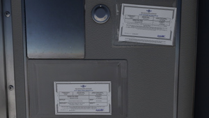 PMDG 737-800 w/ cabin Sunexpress Minions Edition (TC-SOH) thumbnail 8