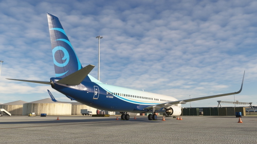 PMDG 737-900 Custom Camera Views