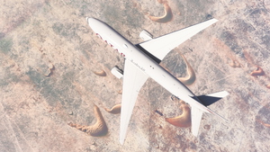PMDG 777-200ER w/ cabin Qatar Airways complete fleet (regular, 100th aircraft, 2022 World Cup) thumbnail 3