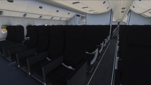 PMDG 777-300ER w/ cabin Air New Zealand complete fleet thumbnail 12
