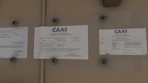 PMDG 777-300ER w/ cabin Singapore Airlines complete fleet (regular + Star Alliance) thumbnail 9