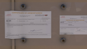 PMDG 777F Emirates Sky Cargo complete fleet thumbnail 9