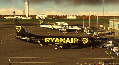 PMDG B737-800 Ryanair 'Gold' fictional livery