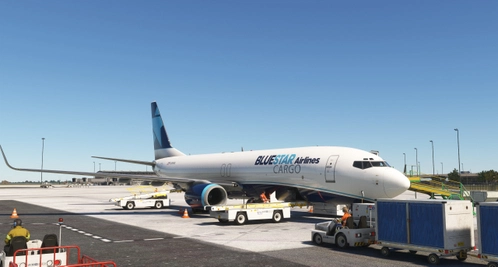 PMDG737-800BCF BlueStar Airlines Cargo (N389BL)