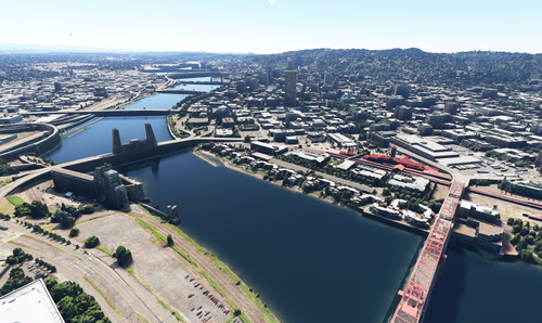 Portland no tree