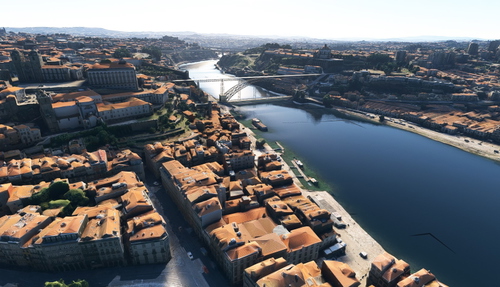 Porto no tree