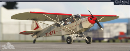 Private | TI-ATK | Asobo Savage Cub [8K]
