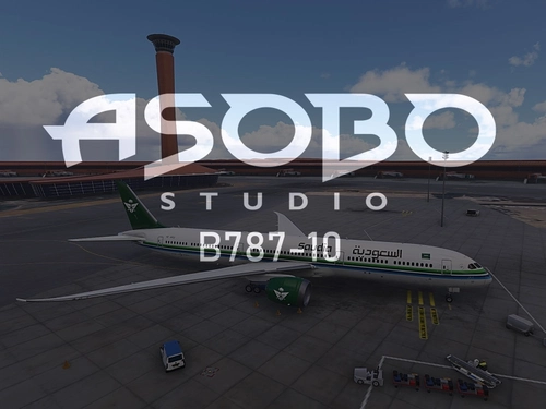 Realistic Custom Camera Asobo B787-10