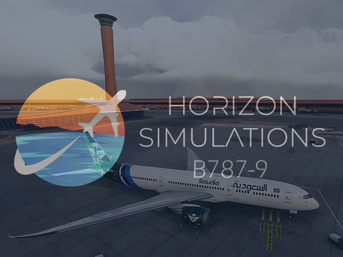 Realistic Custom Camera Horizon Simulations B787-9