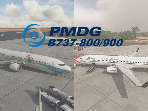 Realistic Custom Camera PMDG Boeing 737-800/900